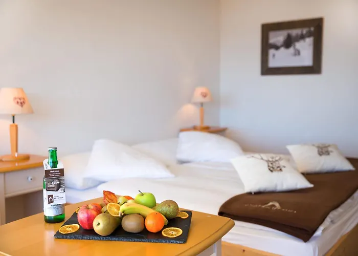 酒店 埃特里耶酒店